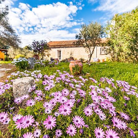 Villa Casa Lilliosa Campavaglio Exterior foto